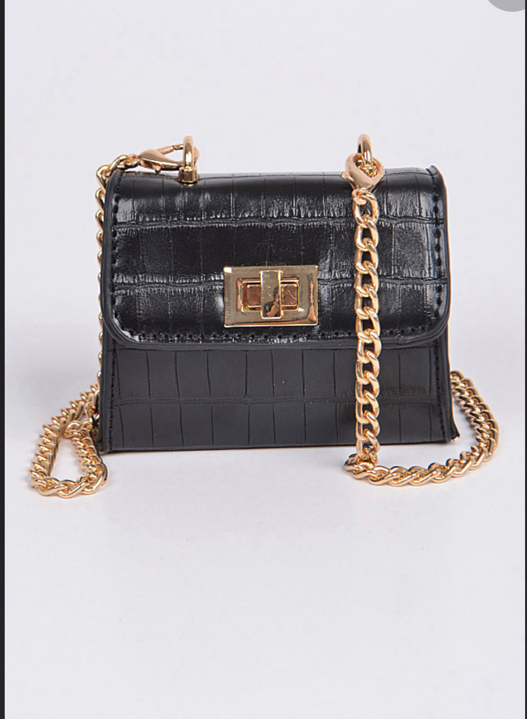 ST BART  MINI PURSE
