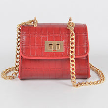 Load image into Gallery viewer, ST BART  MINI PURSE
