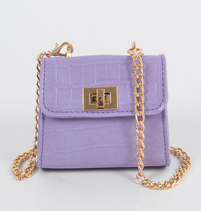 ST BART  MINI PURSE