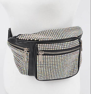 HARLEY CRYSTAL FANNY PACK