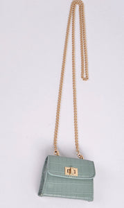 ST BART  MINI PURSE